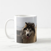 Alaskan Malamutes Koffiemok (Links)