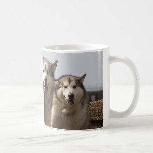 Alaskan Malamutes Koffiemok