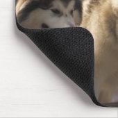 Alaskan Malamutes Mouse mats. Muismat (Hoek)