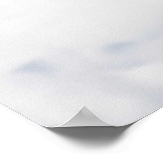 Alaskan Malamutes Poster (Hoek)