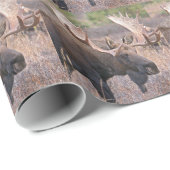 Alaskan Moose Cadeaupapier (Rol Hoek)