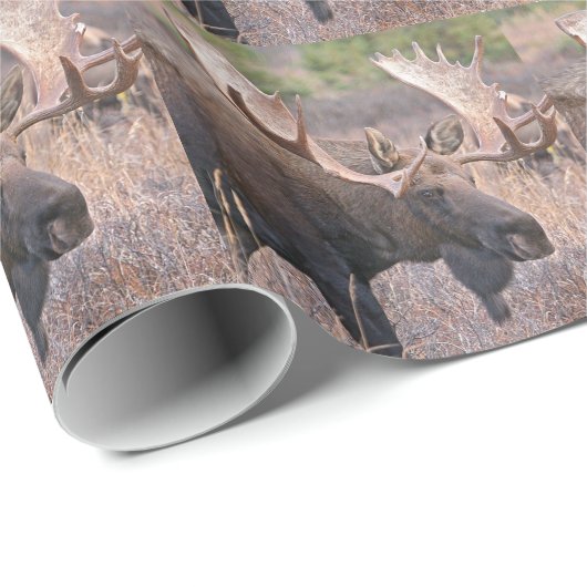 Alaskan Moose Cadeaupapier (Rol Hoek)