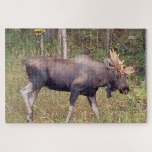 Alaskan Moose w/Antlers Foto Ontworpen Puzzle Legpuzzel