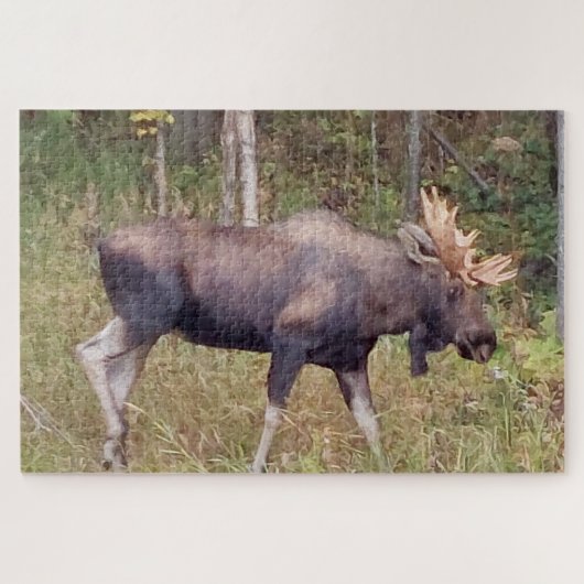 Alaskan Moose w/Antlers Foto Ontworpen Puzzle Legpuzzel (Horizontaal)