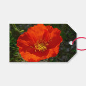 Alaskan Red Poppy Colorful Flower Cadeaulabel (Voorkant (Horizontaal))