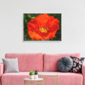 Alaskan Red Poppy Colorful Flower Canvas Afdruk (Insitu (Woonkamer))