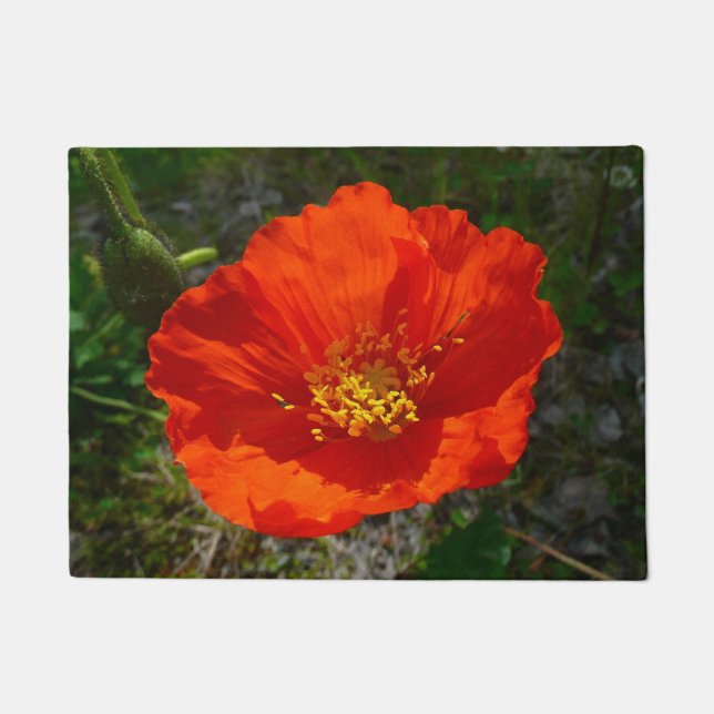 Alaskan Red Poppy Colorful Flower Deurmat (Voorkant)