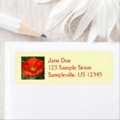 Alaskan Red Poppy Colorful Flower Etiket (Insitu)