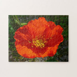 Alaskan Red Poppy Colorful Flower Legpuzzel