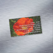 Alaskan Red Poppy Colorful Flower Magnetisch Visitekaartje (Voorbeeld)
