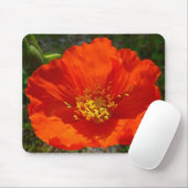 Alaskan Red Poppy Colorful Flower Muismat (Met muis)