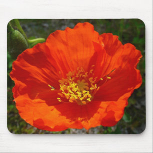 Alaskan Red Poppy Colorful Flower Muismat