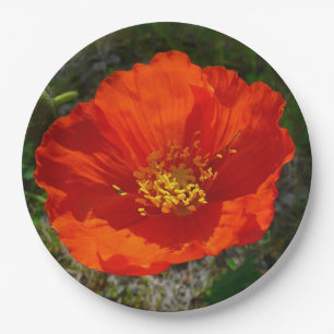 Alaskan Red Poppy Colorful Flower Papieren Bordje