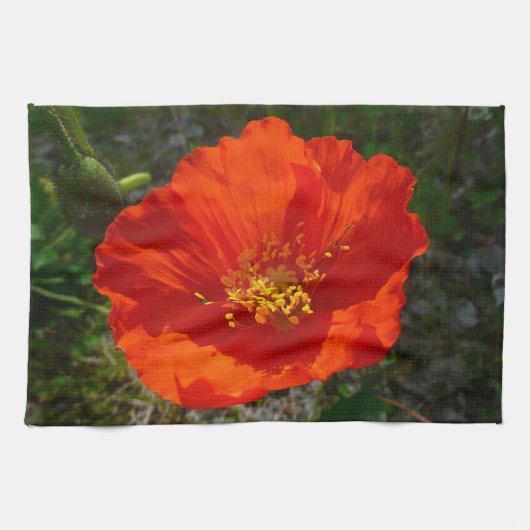 Alaskan Red Poppy Colorful Flower Theedoek (Horizontaal)