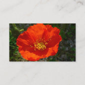Alaskan Red Poppy Colorful Flower Visitekaartje (Achterkant)