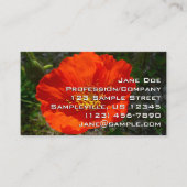 Alaskan Red Poppy Colorful Flower Visitekaartje (Voorkant)