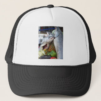Alaskan Salmon Buffet Trucker Pet