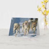 Alaskan Sled Dog Blank Wenskaart Kaart (Gele Bloem)