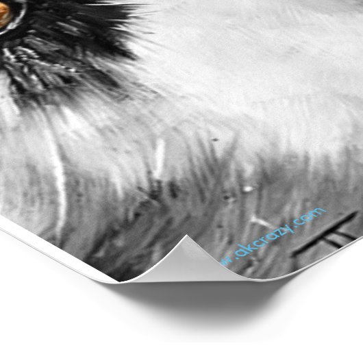 Alaskan Sled Dog "Lets run"-druk Poster (Hoek)