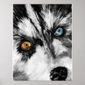 Alaskan Sled Dog "Lets run"-druk Poster (Voorkant)