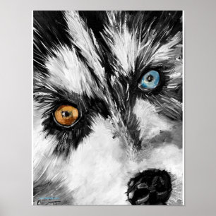 Alaskan Sled Dog "Lets run"-druk Poster