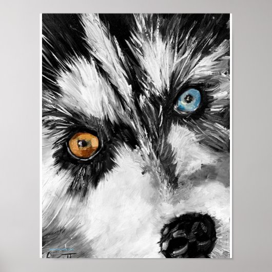 Alaskan Sled Dog "Lets run"-druk Poster (Voorkant)