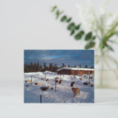 Alaskan Sled Dogs Briefkaart (Staand voorkant)