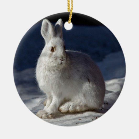 Alaskan Snowshoe Hare Keramisch Ornament (Voorkant)
