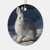 Alaskan Snowshoe Hare Keramisch Ornament (Links)