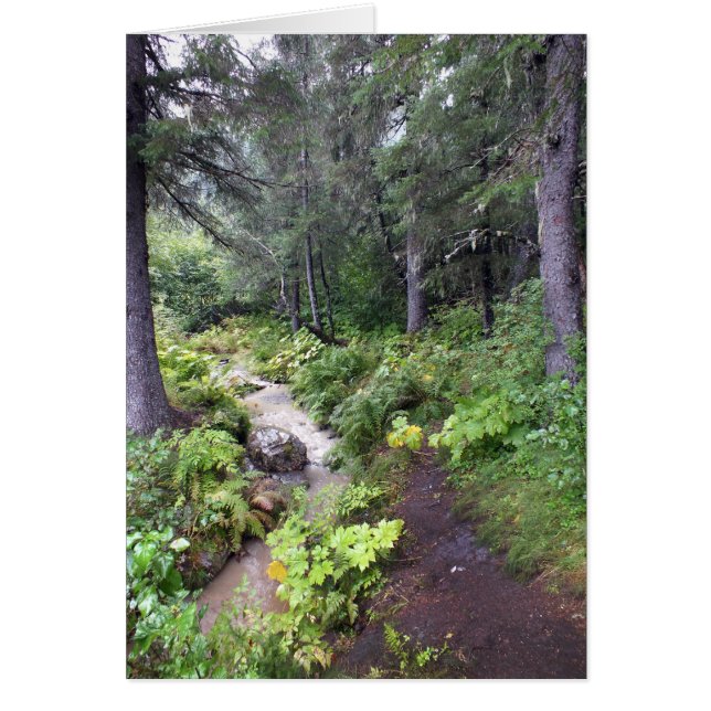 Alaskan Stream (Voorkant)