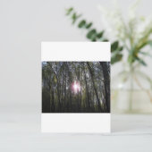 Alaskan Sun Briefkaart (Staand voorkant)