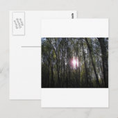 Alaskan Sun Briefkaart (Voorkant / Achterkant)