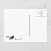 Alaskan Sunset II Beauful Alaska-fotografie Briefkaart (Achterkant)