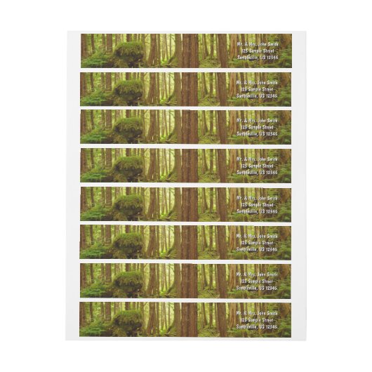 Alaskan Temperate Rainforest (Vel)