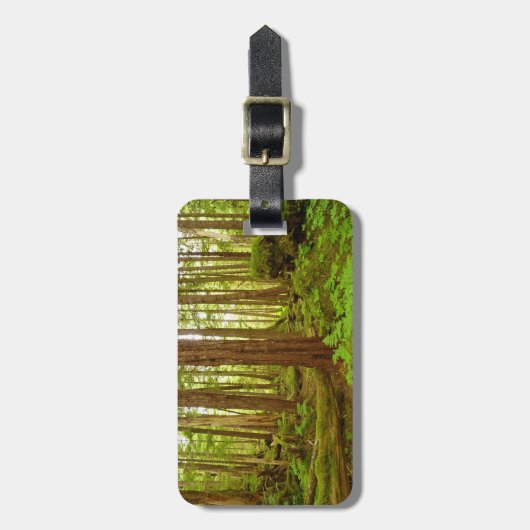 Alaskan Temperate Rainforest Bagagelabel (Voorkant verticaal)