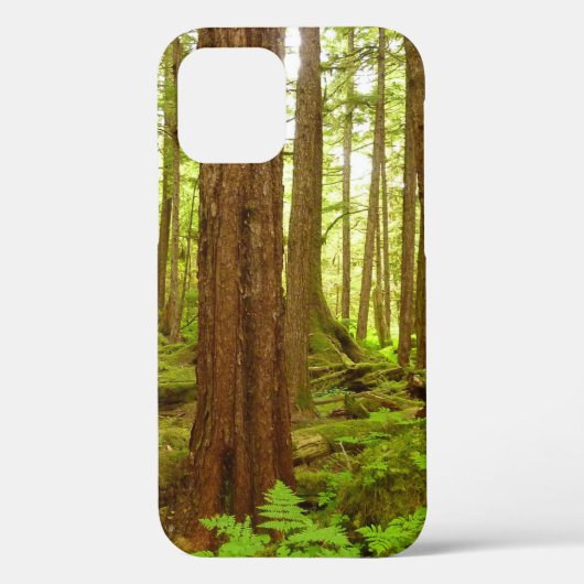 Alaskan Temperate Rainforest Case-Mate iPhone Case (Achterkant)