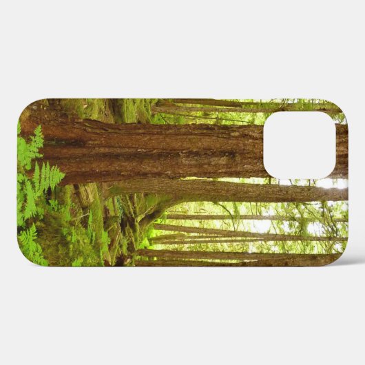 Alaskan Temperate Rainforest Case-Mate iPhone Case (Achterkant (horizontaal))