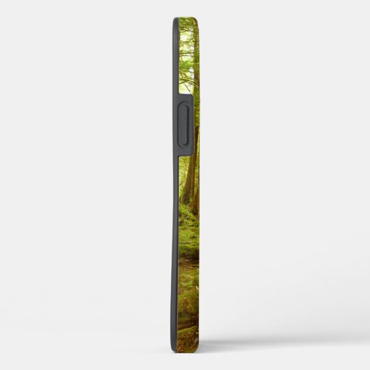 Alaskan Temperate Rainforest Case-Mate iPhone Case (Achterkant / Rechts)