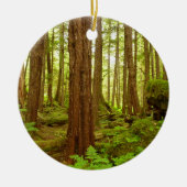 Alaskan Temperate Rainforest Keramisch Ornament (Voorkant)