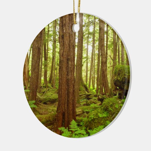 Alaskan Temperate Rainforest Keramisch Ornament (Links)