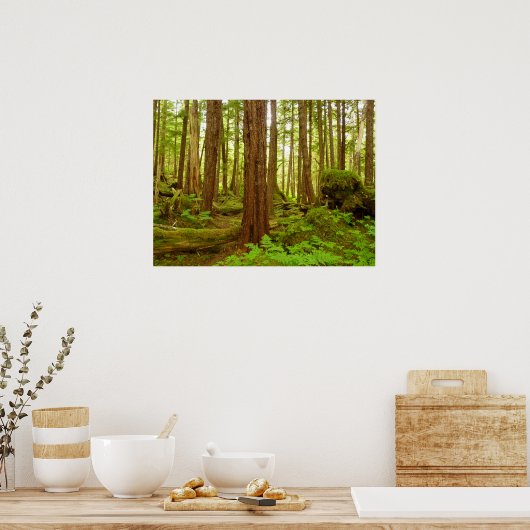 Alaskan Temperate Rainforest Poster (Keuken)