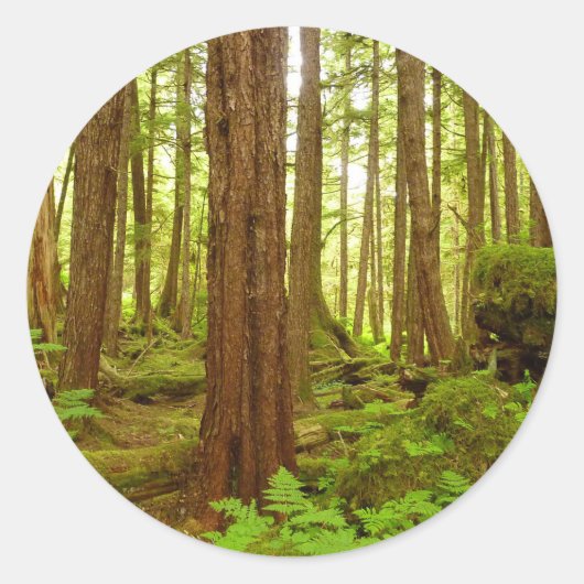 Alaskan Temperate Rainforest Ronde Sticker (Voorkant)