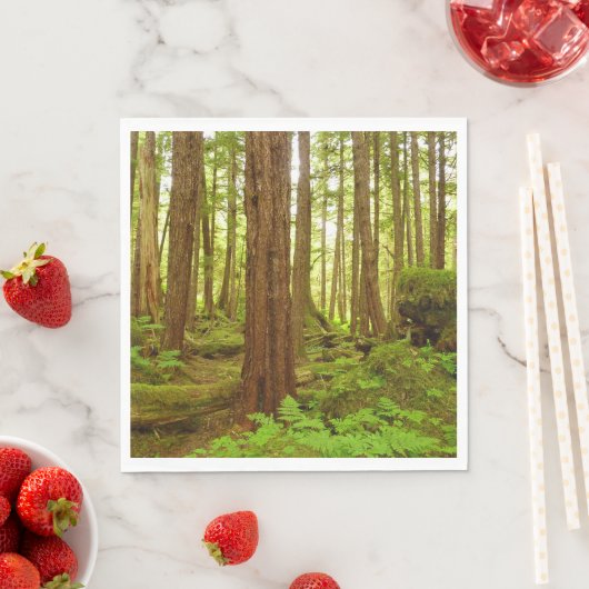 Alaskan Temperate Rainforest Servet (Insitu)