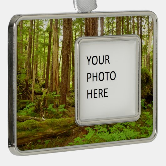 Alaskan Temperate Rainforest Verzilverd Omlijst Ornament (Rechts)
