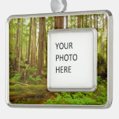 Alaskan Temperate Rainforest Verzilverd Omlijst Ornament (Links)