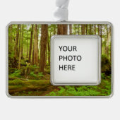 Alaskan Temperate Rainforest Verzilverd Omlijst Ornament (Voorkant)