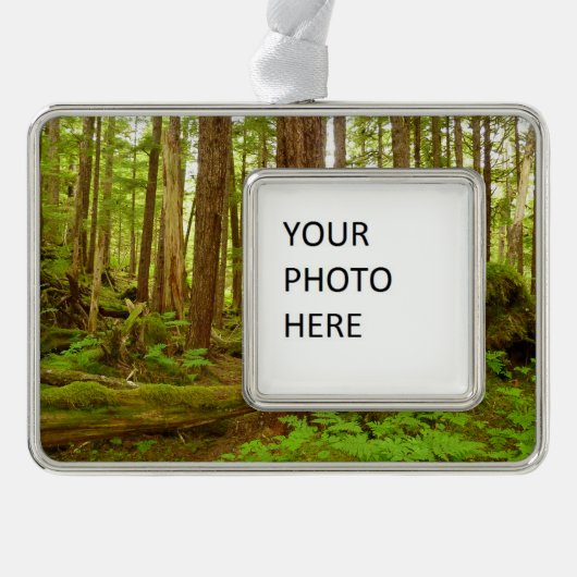 Alaskan Temperate Rainforest Verzilverd Omlijst Ornament (Voorkant)
