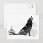 Alaskan Timber Wolf Briefkaart (Voorkant / Achterkant)