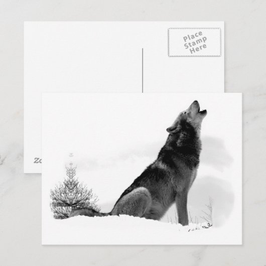 Alaskan Timber Wolf Briefkaart (Voorkant / Achterkant)