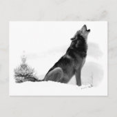 Alaskan Timber Wolf Briefkaart (Voorkant)